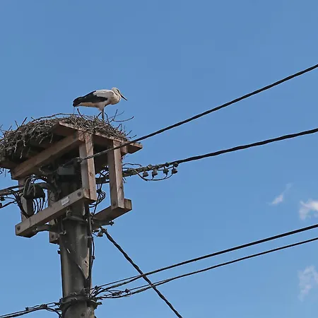 Апартаменты Ferienwohnung-monteurzimmer Rolandseck *