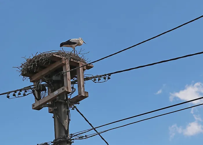 דירה Ferienwohnung-monteurzimmer Rolandseck *